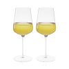 Spiegelau Definition 19 oz Universal Glass (set of 2)