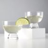 Crystal Mezcal Glasses by Viski