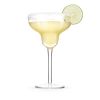 Margarita Glasses, Set of 4 by True