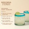 Primavera Recycled Short Tumbler Set by Twine Living