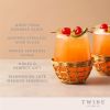 Island Stemless Wine Glass Set by Twine Living