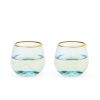 Aqua Bubble Stemless Wine Glass Set by Twine