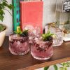 Deco Beau Crystal Lowball Tumblers Viski