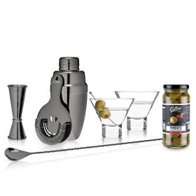 Viski martini Kit (Material: Glass and metal, Color: Multicolor)